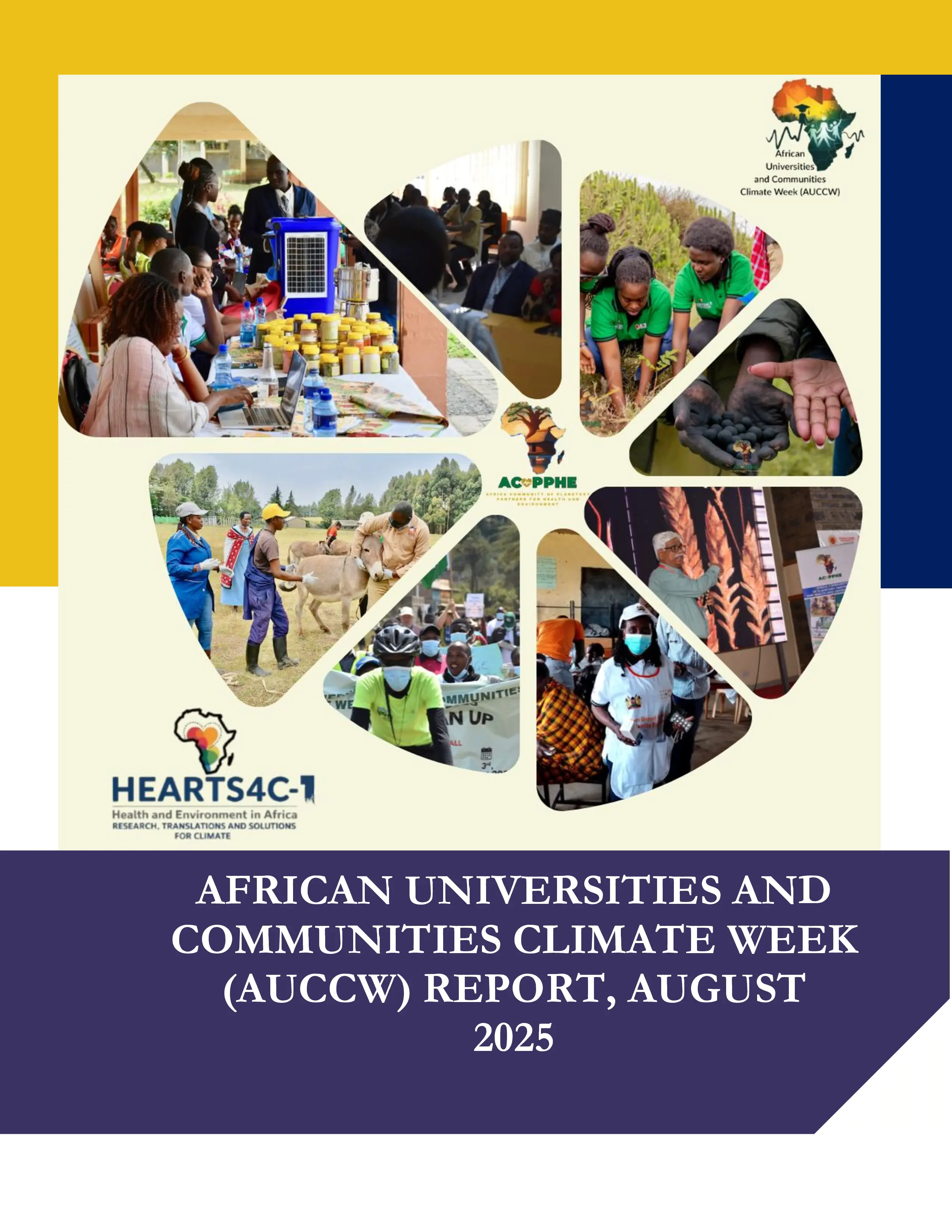 AUCCW Book Chapter Introduction